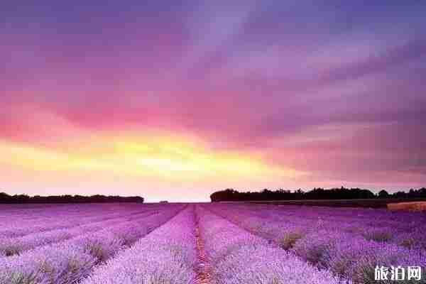 2019三伏天日期 2019三伏天去哪里旅游好 2019三伏天日期 2019三伏天去哪里旅游好