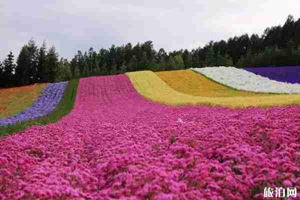 2019三伏天日期 2019三伏天去哪里旅游好 2019三伏天日期 2019三伏天去哪里旅游好