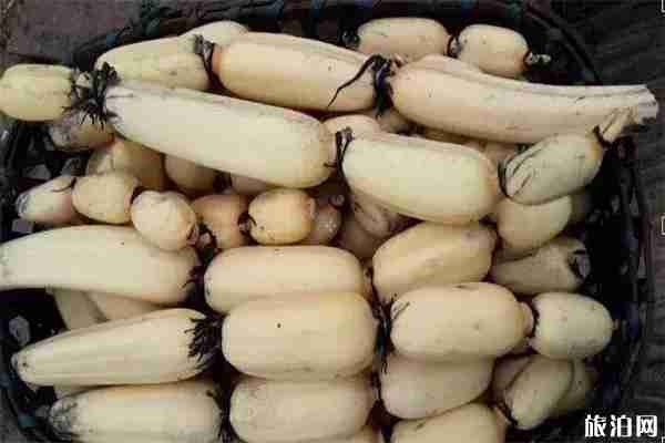 韶關(guān)始興縣頓崗鎮(zhèn)荷花觀賞指南