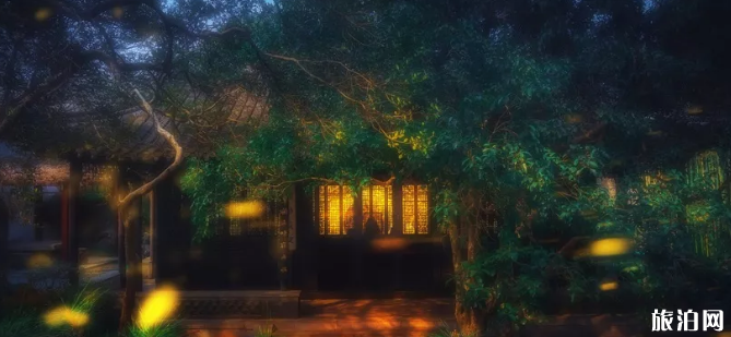 南京哪里可以看到螢火蟲 螢火蟲幾月份出現