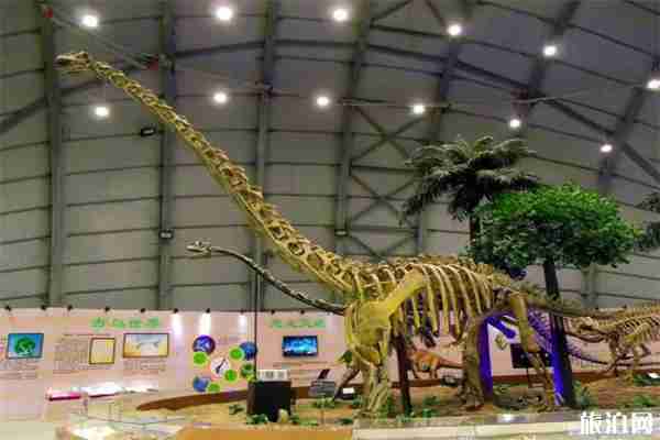 2019辽宁古生物博物馆暑假开馆时间最新调整 2019辽宁古生物博物馆暑假开馆时间最新调整
