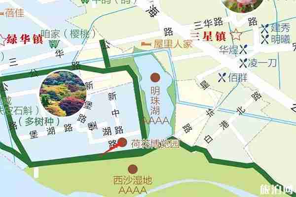 上海崇明荷花博览园 门票+荷花信息 上海崇明荷花博览园 门票+荷花信息