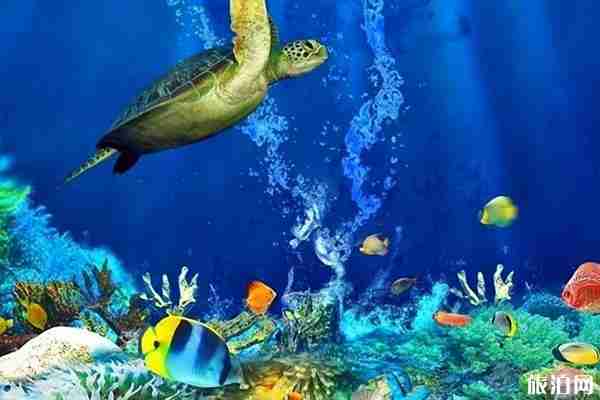 武汉东湖海洋世界2019门票优惠政策+交通信息 武汉东湖海洋世界2019门票优惠政策+交通信息