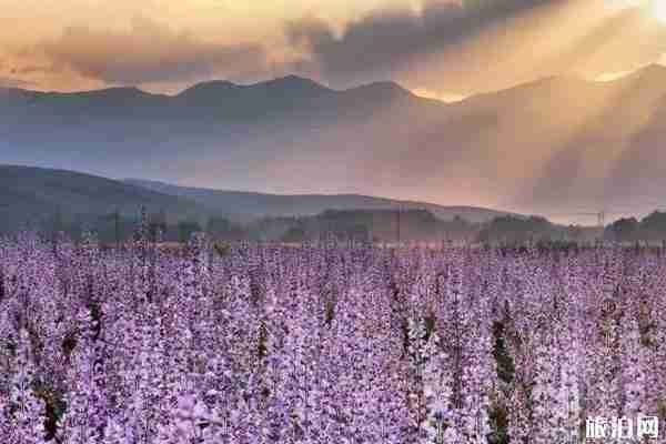 七月昭苏温度适合避暑吗 七月昭苏旅游景点哪些好 七月昭苏温度适合避暑吗 七月昭苏旅游景点哪些好