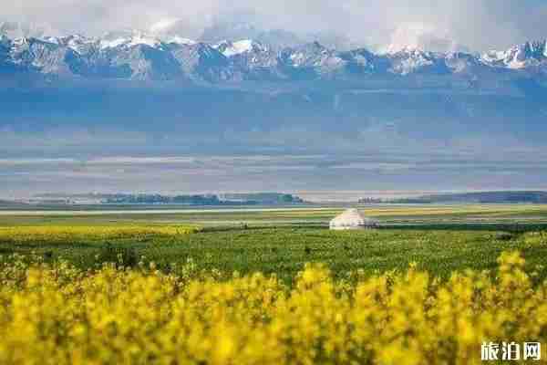 七月昭苏温度适合避暑吗 七月昭苏旅游景点哪些好 七月昭苏温度适合避暑吗 七月昭苏旅游景点哪些好