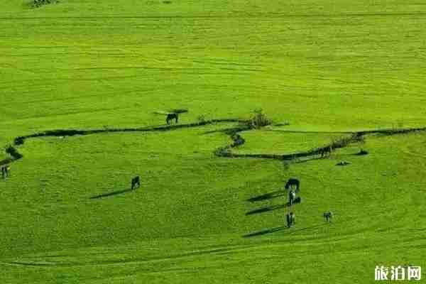 七月昭苏温度适合避暑吗 七月昭苏旅游景点哪些好 七月昭苏温度适合避暑吗 七月昭苏旅游景点哪些好