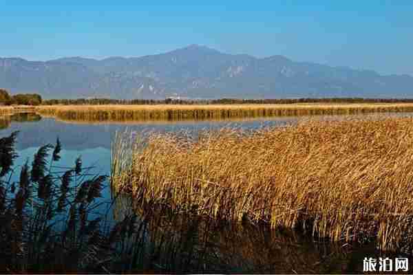 2019北京野鸭湖湿地公园门票价格+开放时间+游玩项目 2019北京野鸭湖湿地公园门票价格+开放时间+游玩项目