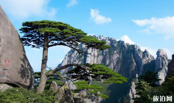 黄山旅行注意事项 去黄山带什么东西好 黄山旅行注意事项 去黄山带什么东西好