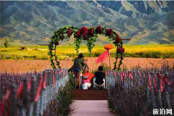 溫泉縣紫蘇文化旅游節 時間+地點+游玩攻略 溫泉縣紫蘇文化旅游節 時間+地點+游玩攻略