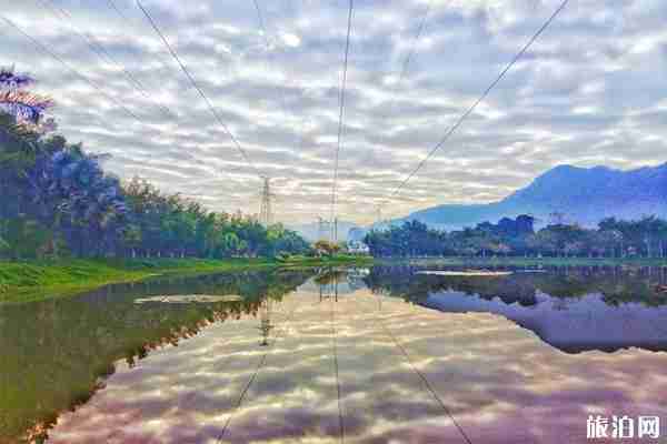 南寧花花大世界門票多少錢 南寧花花大世界門票多少錢