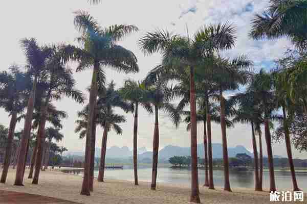 南寧花花大世界門票多少錢 南寧花花大世界門票多少錢