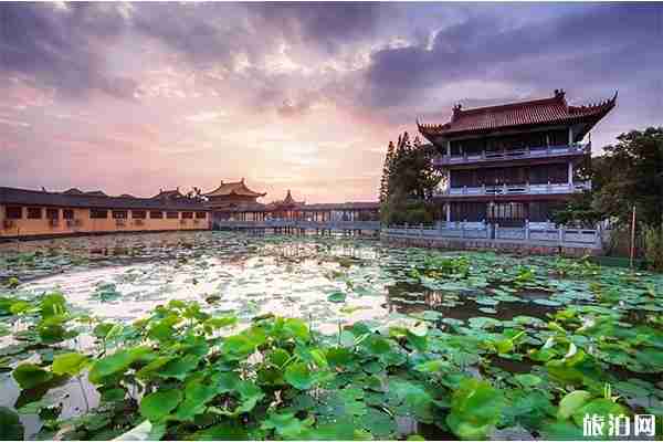 2019嘉興秀洲王江涇荷花節(jié) 時(shí)間+活動(dòng)內(nèi)容 2019嘉興秀洲王江涇荷花節(jié) 時(shí)間+活動(dòng)內(nèi)容