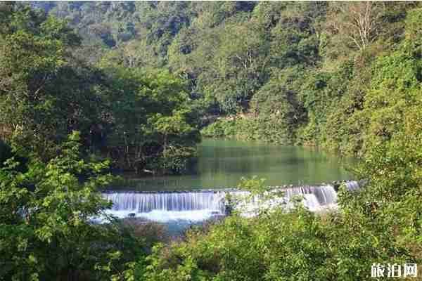 南寧龍虎山風景區門票價格 南寧龍虎山風景區門票價格