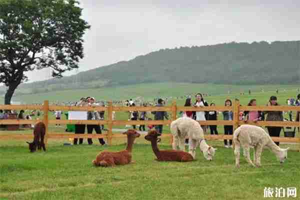 三寰牧場怎么樣 怎么走+有什么好玩的