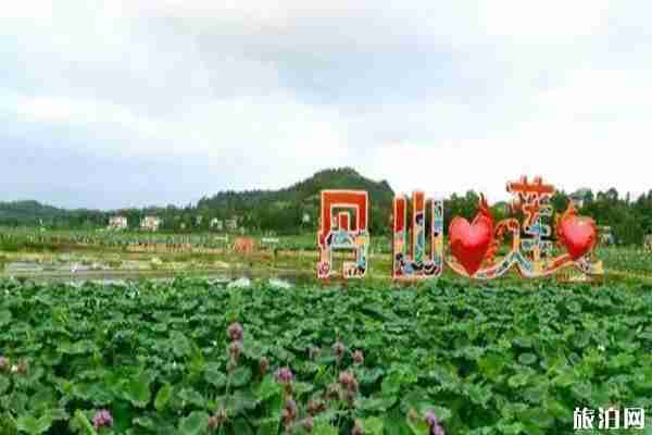 2019雁江區(qū)第三屆荷花節(jié) 時間+活動內(nèi)容