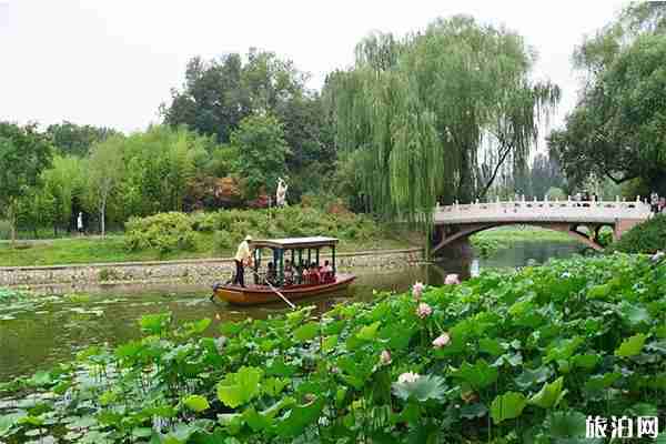 紫竹院公園荷文化展 時間+活動內容2019 紫竹院公園荷文化展 時間+活動內容2019