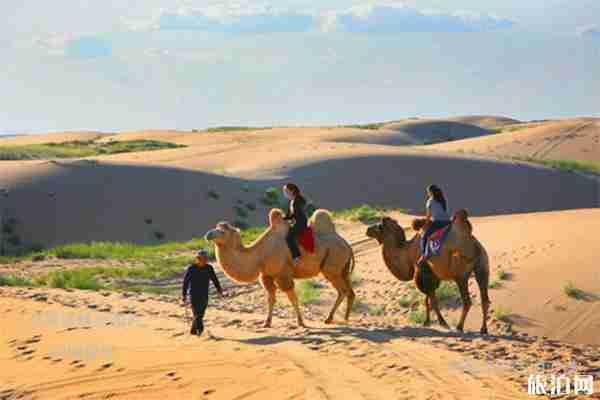 內蒙古通遼奈曼旗沙漠游玩攻略