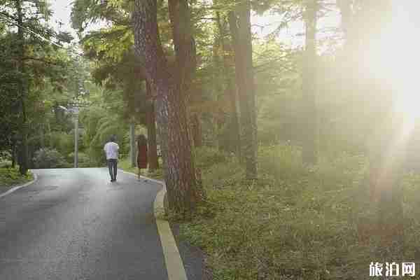 八月旅游國內最佳地點推薦 八月旅游國內最佳地點推薦