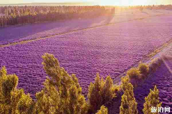 八月旅游國內最佳地點推薦 八月旅游國內最佳地點推薦