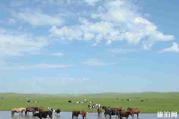 八月旅游國內最佳地點推薦 八月旅游國內最佳地點推薦