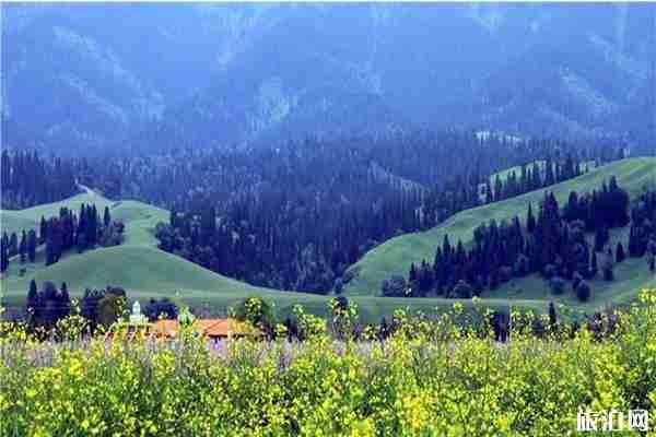 學生暑假去新疆優惠景區信息匯總