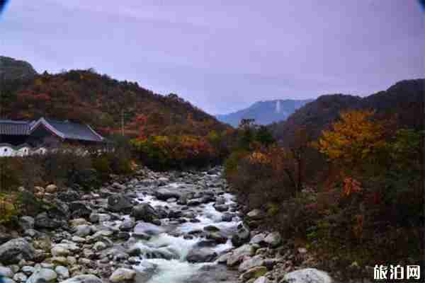 武漢黃陂云霧山露營地帳篷費用+燒烤費用