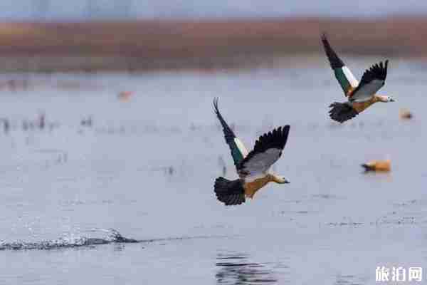 太原晉陽(yáng)湖公園正式開(kāi)放了嗎 2019晉陽(yáng)湖公園園區(qū)介紹+交通
