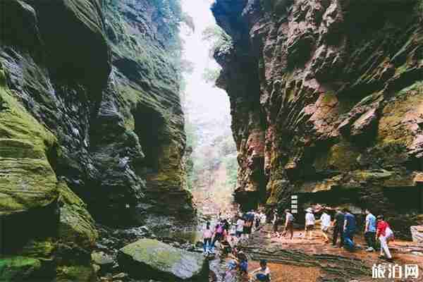 2019河南暑假景區活動信息匯總 2019河南暑假景區活動信息匯總