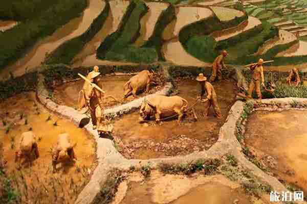 中國農業博物館官網+預約信息+門票+開放時間