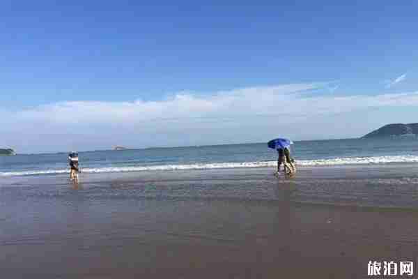 朱家尖島交通門票信息