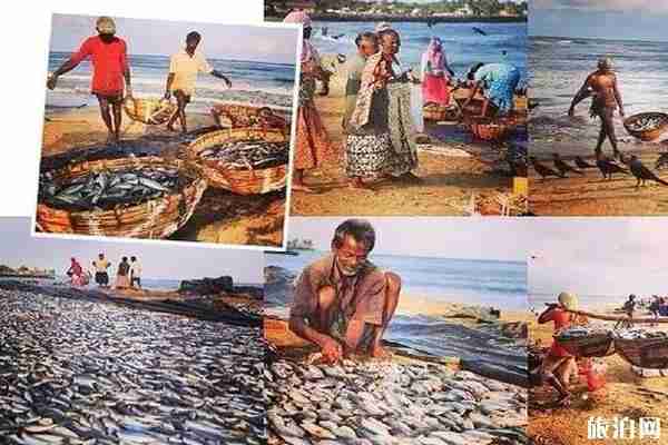 斯里蘭卡旅游攻略2019