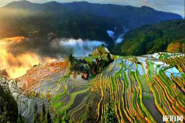 貴州經(jīng)典三日游