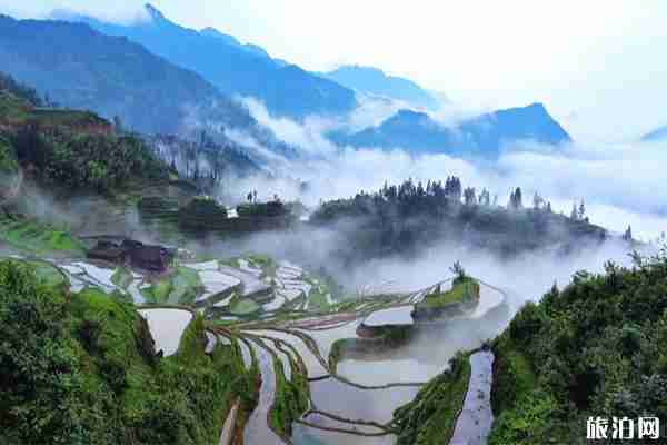 貴州經(jīng)典三日游