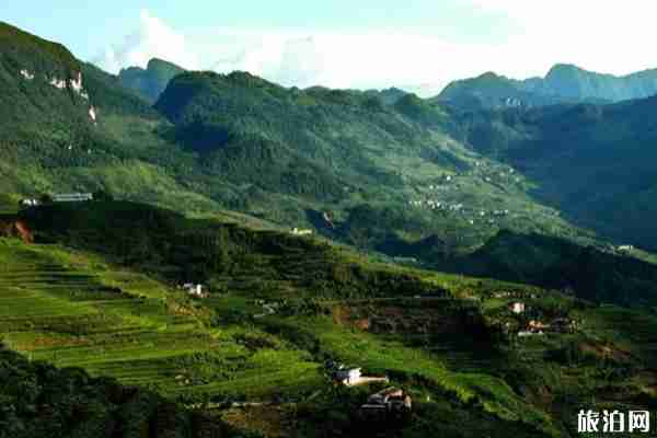 重慶最佳避暑地黑山谷游玩攻略