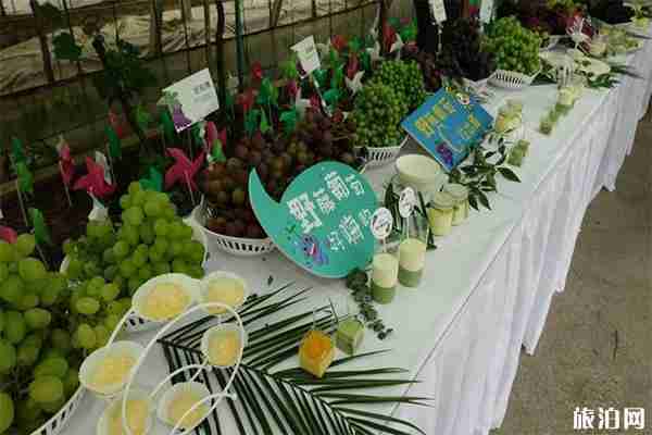 浙江蓋北野藤葡萄文化旅游節 時間+活動內容