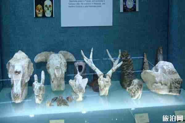 北京大學賽克勒考古與藝術博物館概況+門票+地址+交通 北京大學賽克勒考古與藝術博物館概況+門票+地址+交通