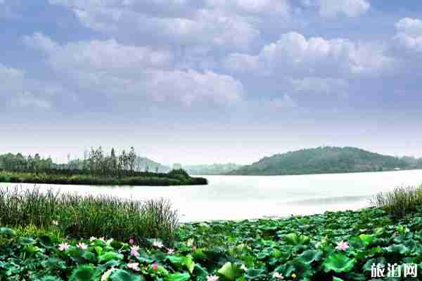 2019武漢蔡甸新增公交線路+運營時間+站點 2019武漢蔡甸新增公交線路+運營時間+站點