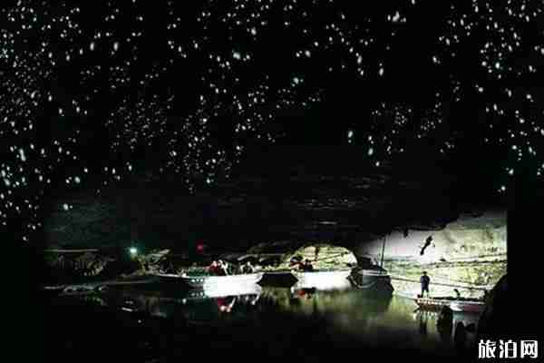 螢火蟲觀賞地點有哪些 螢火蟲觀賞地點有哪些