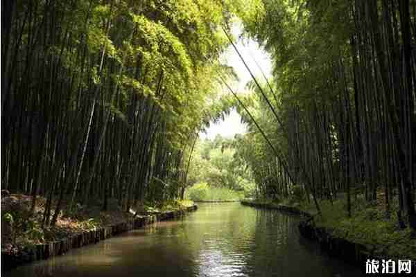 親愛的熱愛的同里古鎮取景地介紹+景點推薦