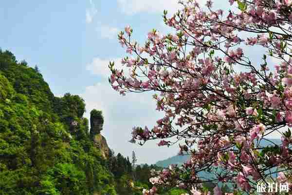 重慶石柱萬壽山景區游玩攻略