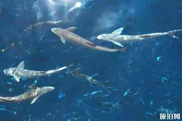 免簽海島游推薦 免簽海島游推薦