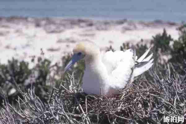 免簽海島游推薦 免簽海島游推薦