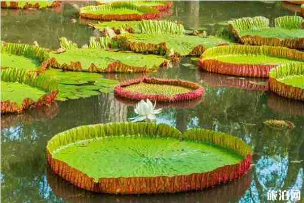 免簽海島游推薦 免簽海島游推薦