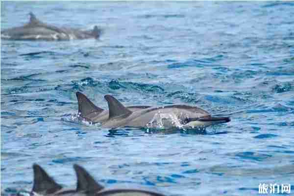 免簽海島游推薦 免簽海島游推薦