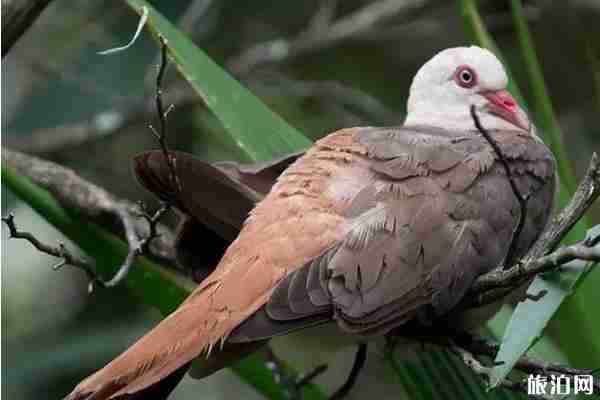 免簽海島游推薦 免簽海島游推薦
