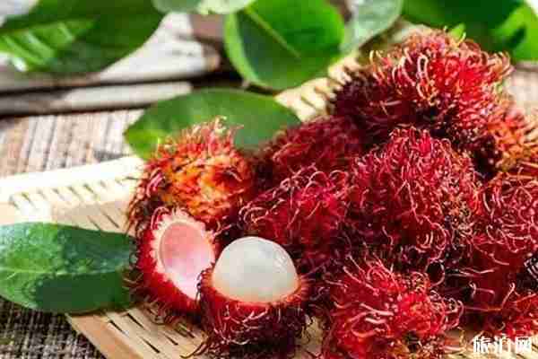 2019保亭縣紅毛丹采摘季活動攻略 2019保亭縣紅毛丹采摘季活動攻略