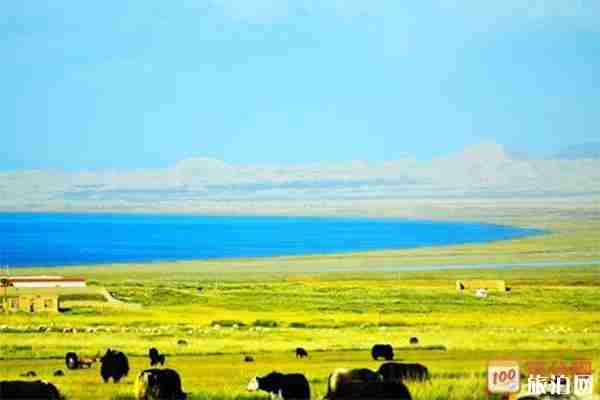 青海甘肅包車6天花費要多少錢 青海甘肅包車6天花費要多少錢