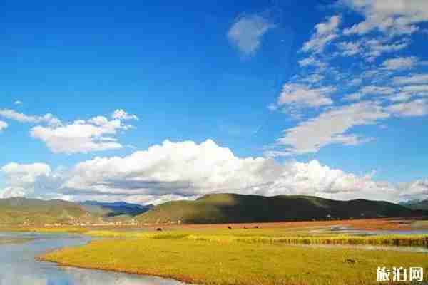 云南避暑勝地有哪些