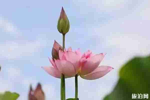 云南避暑勝地有哪些