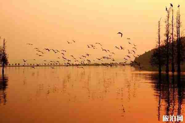 武漢避暑勝地推薦